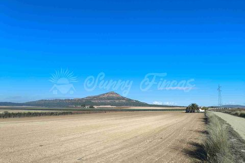 Ruinere i Yecla, Murcia, Yecla - € 28.000 | Ref: SF0551 - foto 16